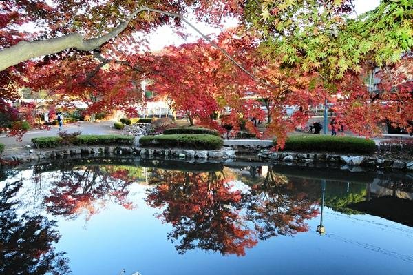 🍁 소기 공원(소기 코엔)